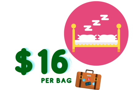 Pricing graphic for delivery service