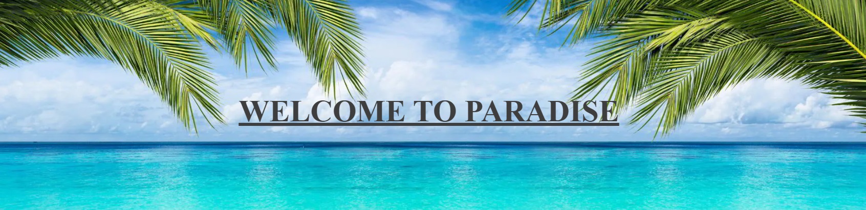 Ocean with palm trees